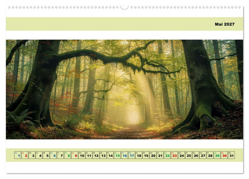 Ruhepol-Wald (CALVENDO Wandkalender 2027)