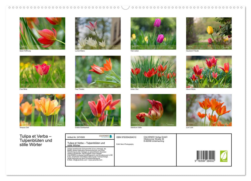 Tulipa et Verba – Tulpenblüten und stille Wörter (CALVENDO Premium Wandkalender 2027)