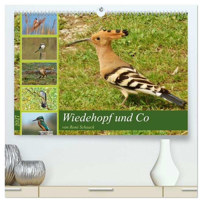 Wiedehopf und Co - von René Schaack (CALVENDO Premium Wandkalender 2027)