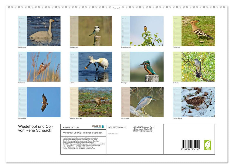 Wiedehopf und Co - von René Schaack (CALVENDO Premium Wandkalender 2027)