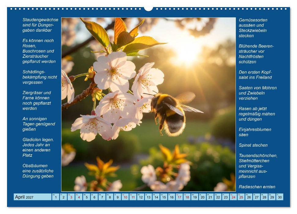 Was mache ich wann im Garten (CALVENDO Wandkalender 2027)