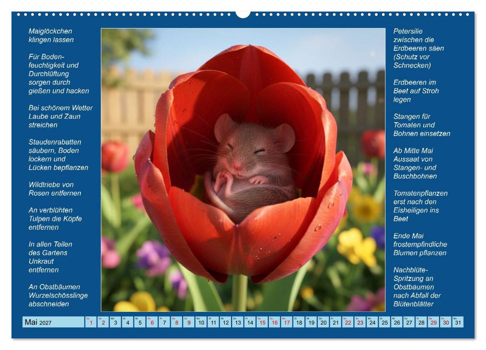 Was mache ich wann im Garten (CALVENDO Wandkalender 2027)