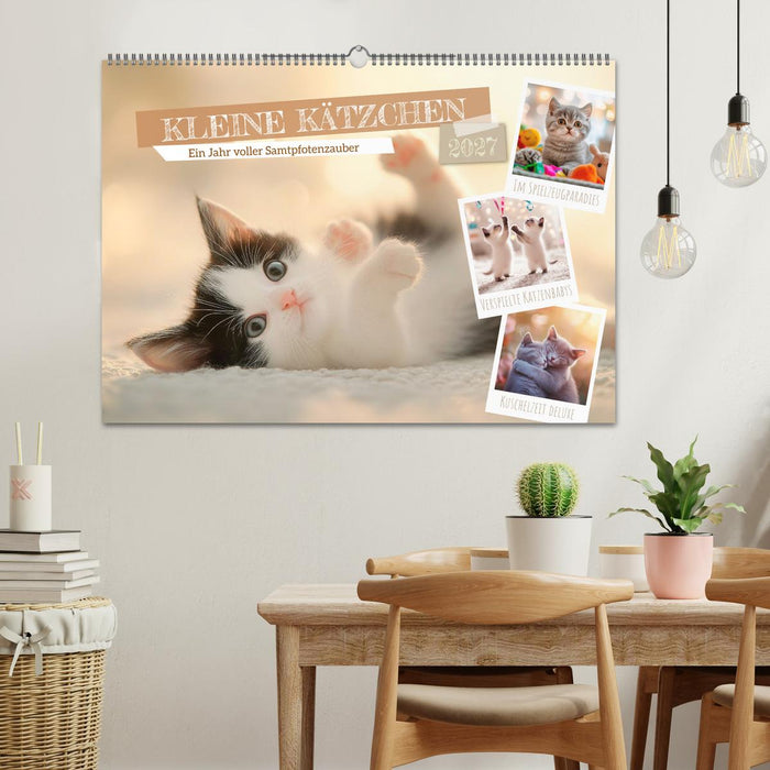 Kleine Kätzchen - Ein Jahr voller Samtpfotenzauber (CALVENDO Wandkalender 2027)