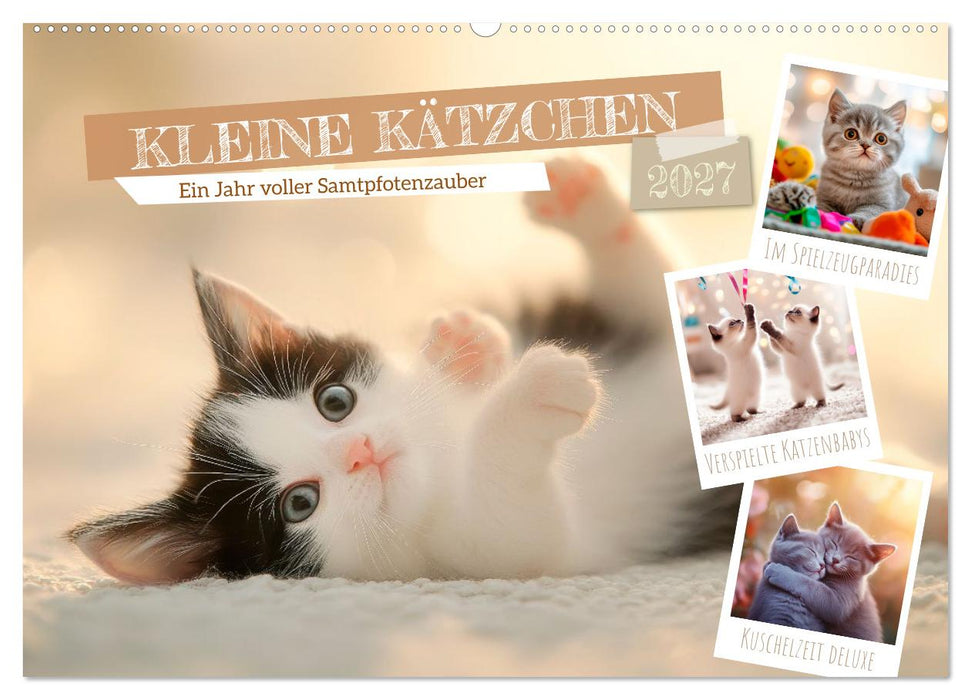 Kleine Kätzchen - Ein Jahr voller Samtpfotenzauber (CALVENDO Wandkalender 2027)