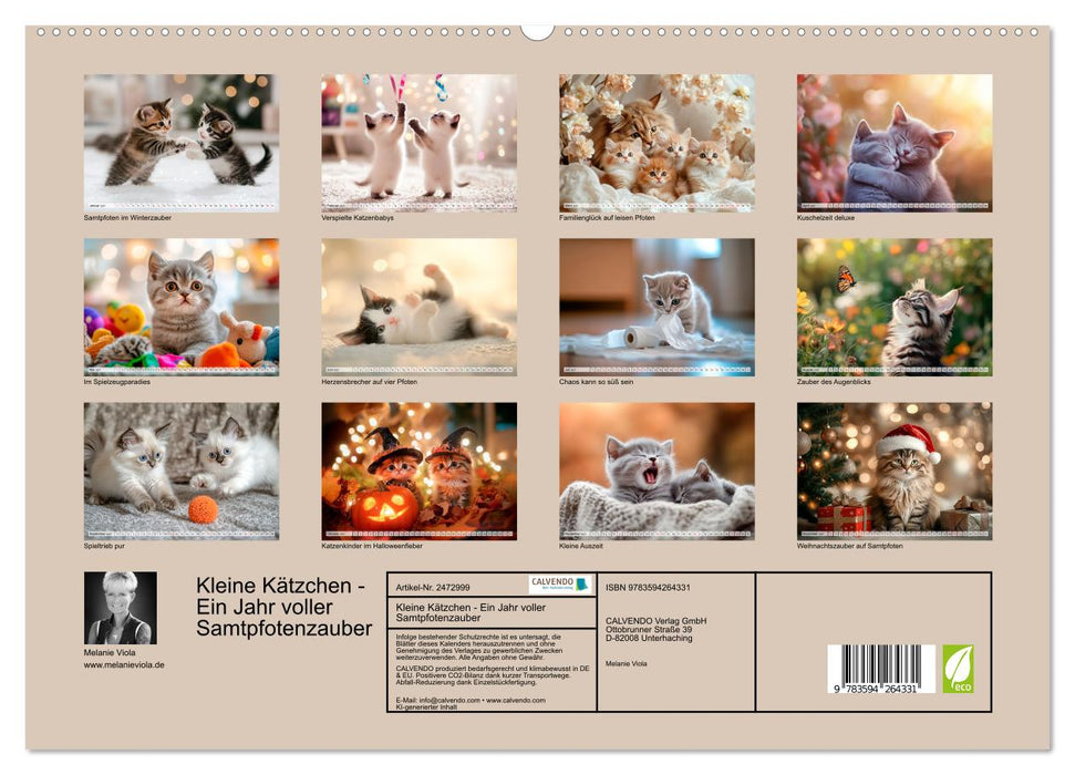 Kleine Kätzchen - Ein Jahr voller Samtpfotenzauber (CALVENDO Wandkalender 2027)