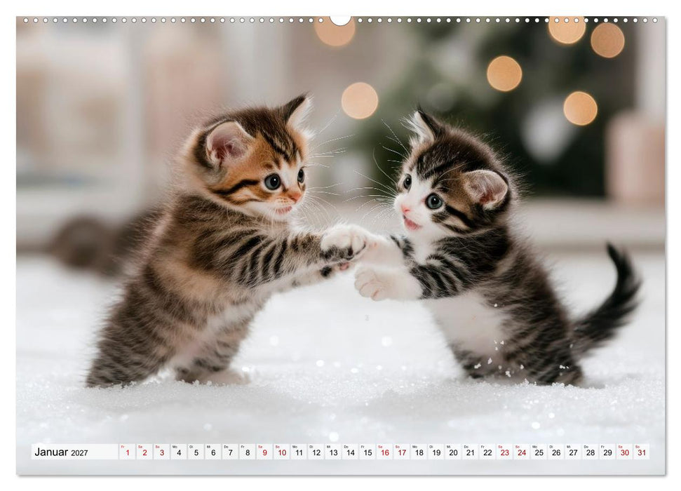 Kleine Kätzchen - Ein Jahr voller Samtpfotenzauber (CALVENDO Wandkalender 2027)