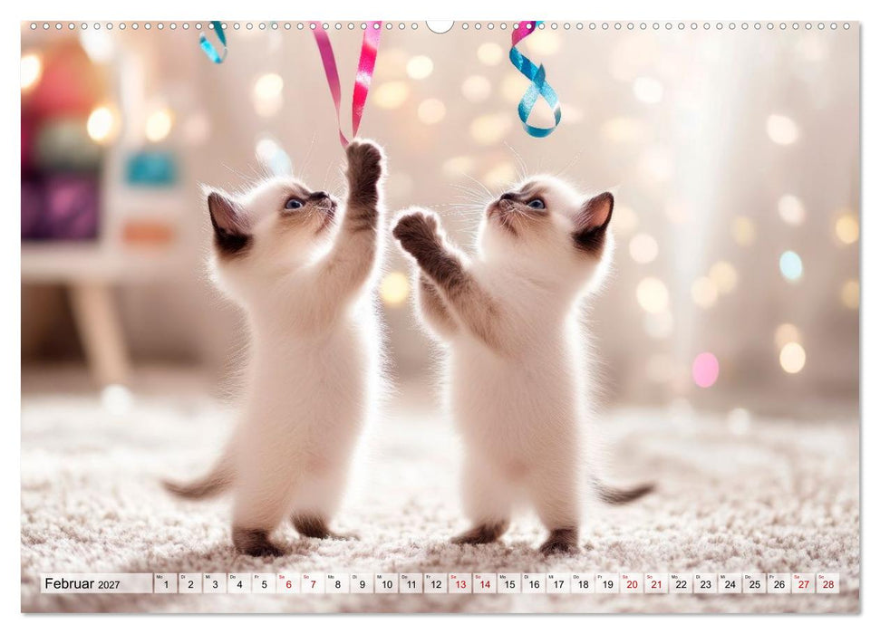 Kleine Kätzchen - Ein Jahr voller Samtpfotenzauber (CALVENDO Wandkalender 2027)