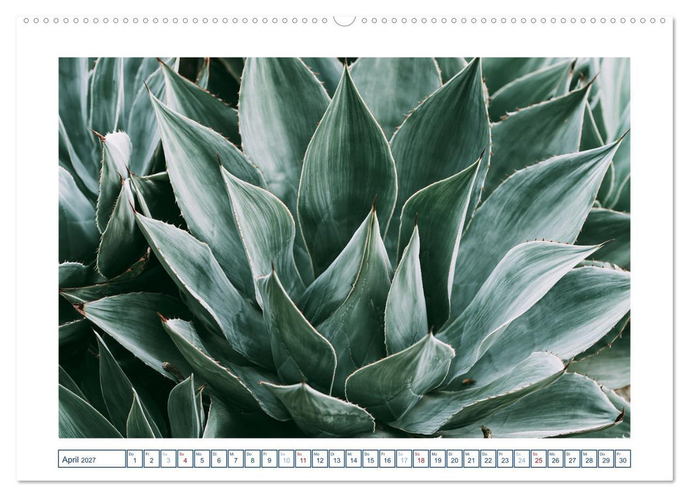 Fernweh in Pastell (CALVENDO Wandkalender 2027)