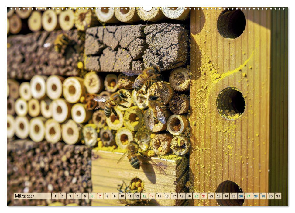 Wildbienenhotels (CALVENDO Premium Wandkalender 2027)