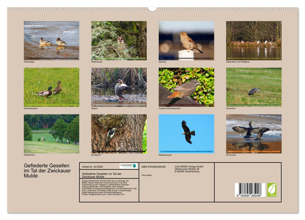 Gefiederte Gesellen im Tal der Zwickauer Mulde (CALVENDO Premium Wandkalender 2027)