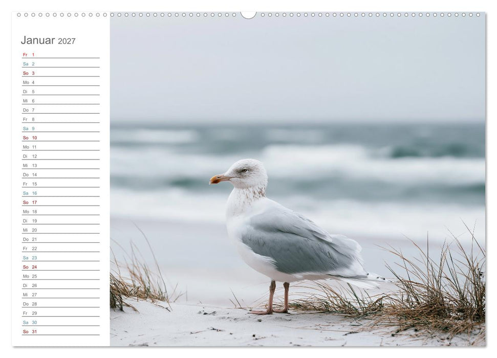 Stille am Horizont (CALVENDO Wandkalender 2027)