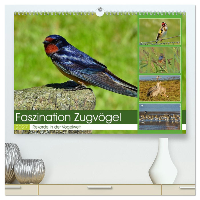 Faszination Zugvögel - Rekorde in der Vogelwelt (CALVENDO Premium Wandkalender 2027)