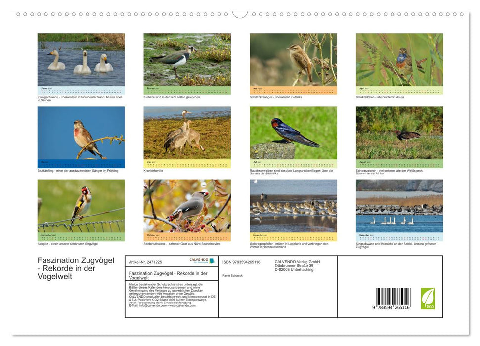 Faszination Zugvögel - Rekorde in der Vogelwelt (CALVENDO Premium Wandkalender 2027)