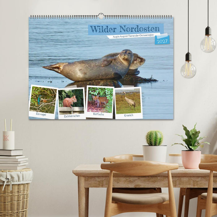 Wilder Nordosten - Aug in Aug mit Tieren der Ostseeregion (CALVENDO Wandkalender 2027)