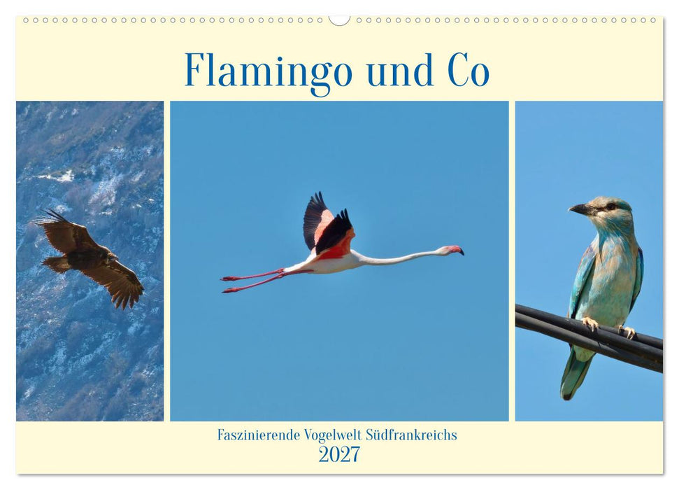 Flamingo und Co - Faszinierende Vogelwelt Südfrankreichs (CALVENDO Wandkalender 2027)