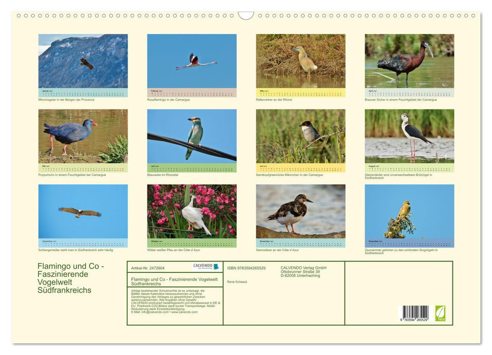 Flamingo und Co - Faszinierende Vogelwelt Südfrankreichs (CALVENDO Wandkalender 2027)