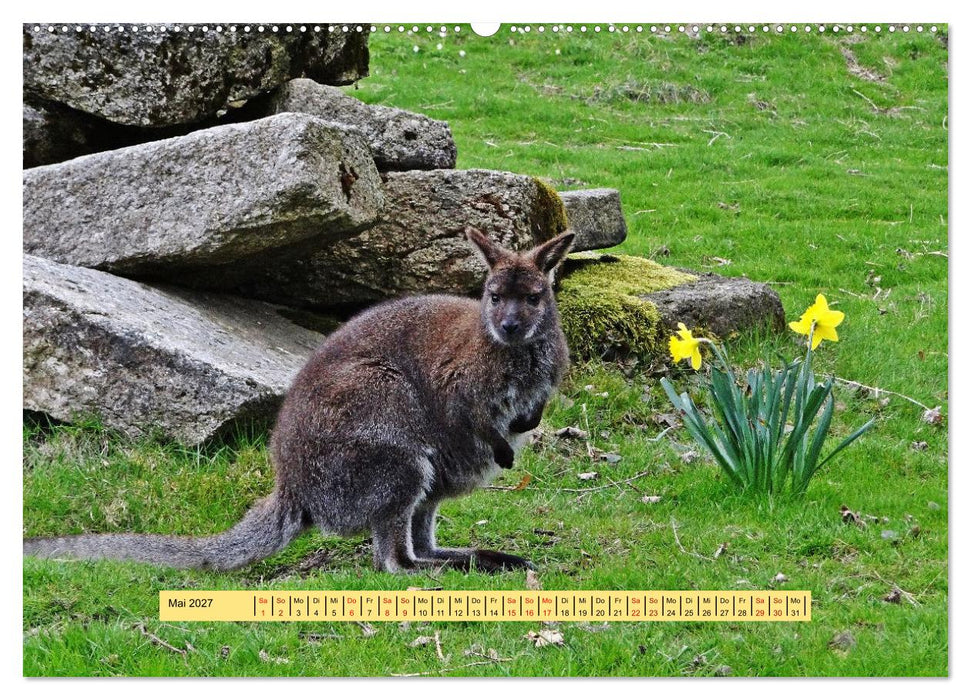 Fichtelgebirge - Naturgebiet zwischen Wäldern und Felsen (CALVENDO Wandkalender 2027)