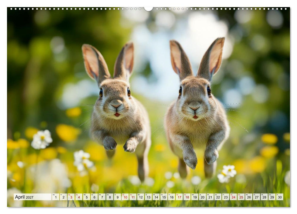 Süße Kaninchen - Flauschige Augenblicke (CALVENDO Wandkalender 2027)