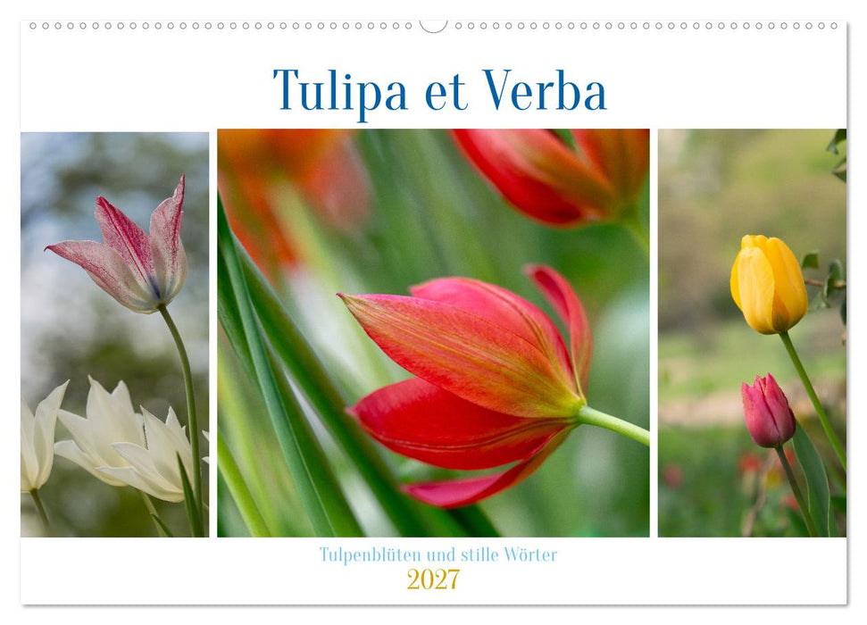 Tulipa et Verba – Tulpenblüten und stille Wörter (CALVENDO Wandkalender 2027)