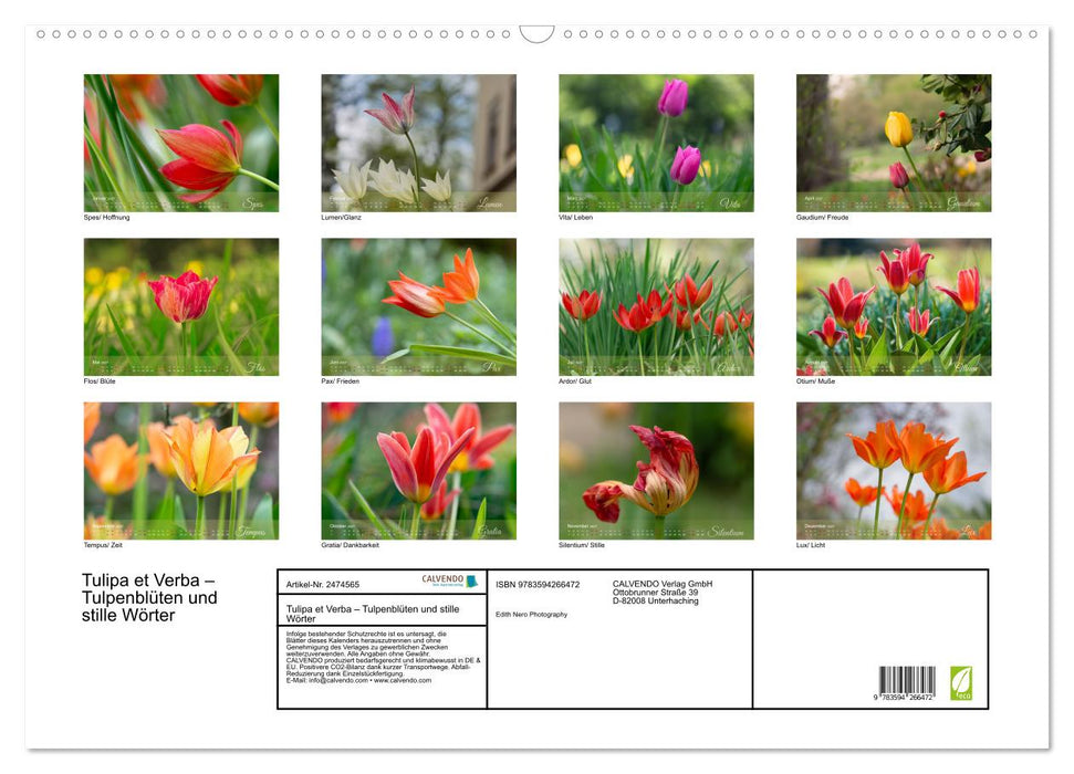 Tulipa et Verba – Tulpenblüten und stille Wörter (CALVENDO Wandkalender 2027)