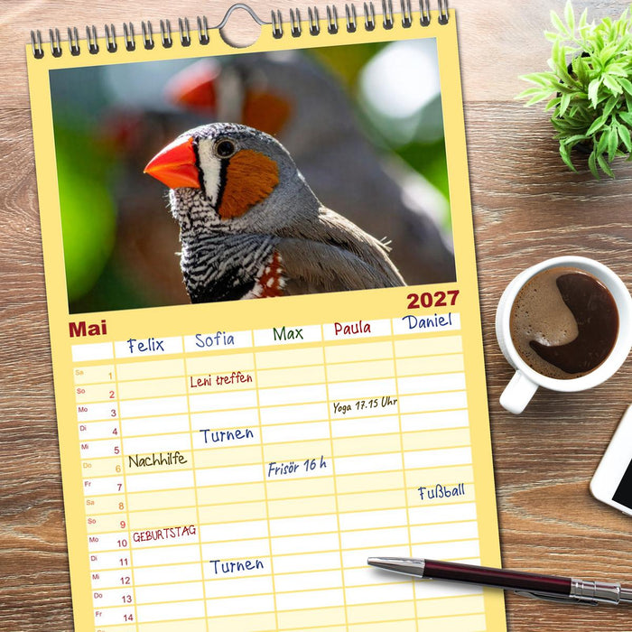 Zebrafinken Abenteuer (CALVENDO Familienplaner 2027)