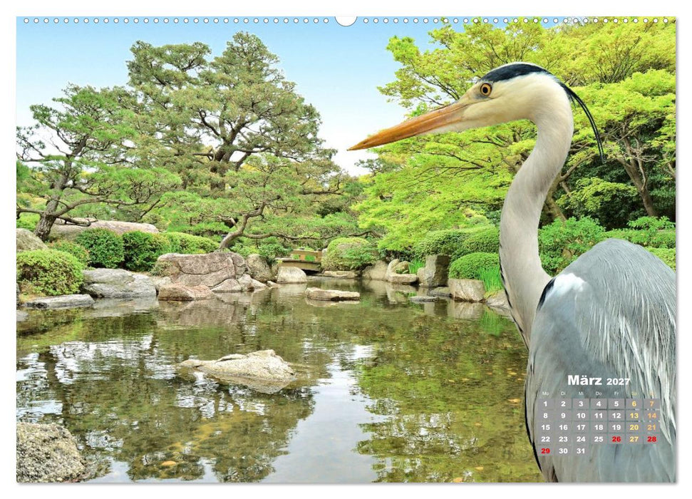 Japan: Entdecken Sie gelebte Tradition und einzigartige Naturwunder (CALVENDO Wandkalender 2027)
