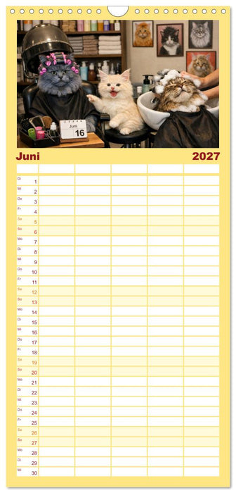 Zauberhafte Welt der Kätzlis (CALVENDO Familienplaner 2027)