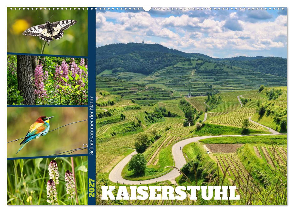 Kaiserstuhl, Schatzkammer der Natur (CALVENDO Wandkalender 2027)