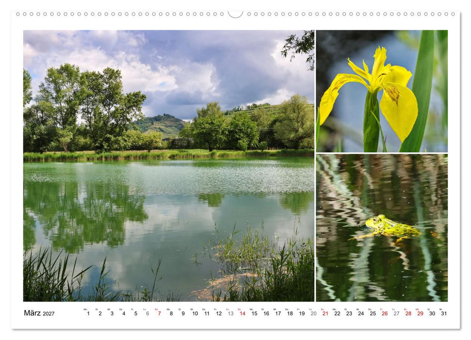 Kaiserstuhl, Schatzkammer der Natur (CALVENDO Wandkalender 2027)