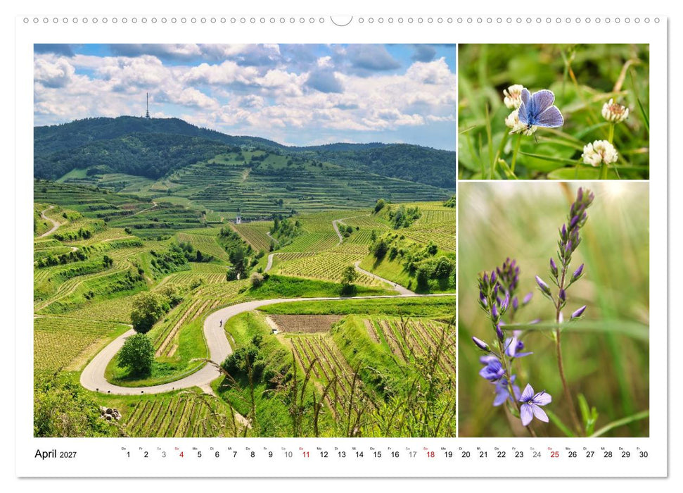 Kaiserstuhl, Schatzkammer der Natur (CALVENDO Wandkalender 2027)