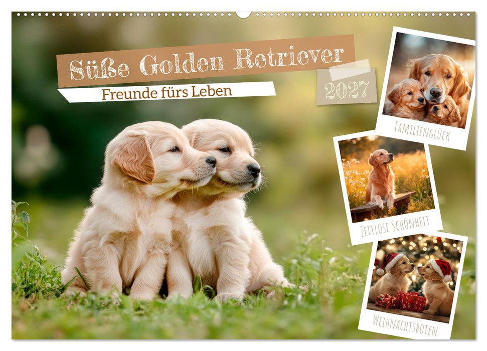 Süße Golden Retriever - Freunde fürs Leben (CALVENDO Wandkalender 2027)