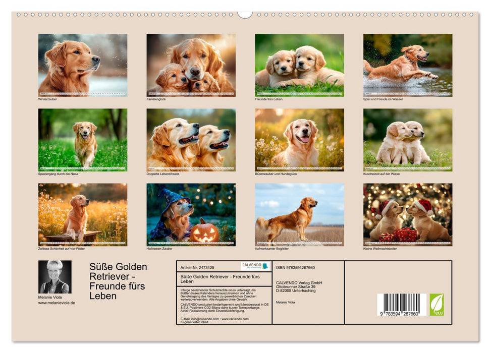 Süße Golden Retriever - Freunde fürs Leben (CALVENDO Wandkalender 2027)