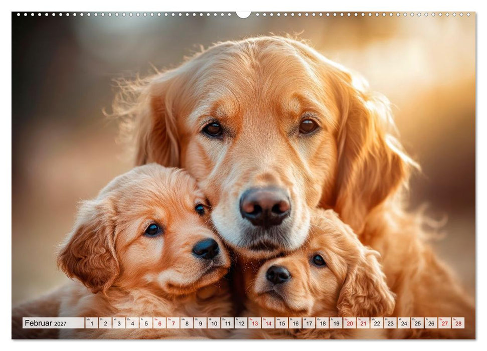 Süße Golden Retriever - Freunde fürs Leben (CALVENDO Wandkalender 2027)