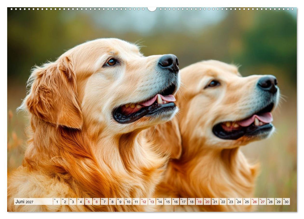 Süße Golden Retriever - Freunde fürs Leben (CALVENDO Wandkalender 2027)