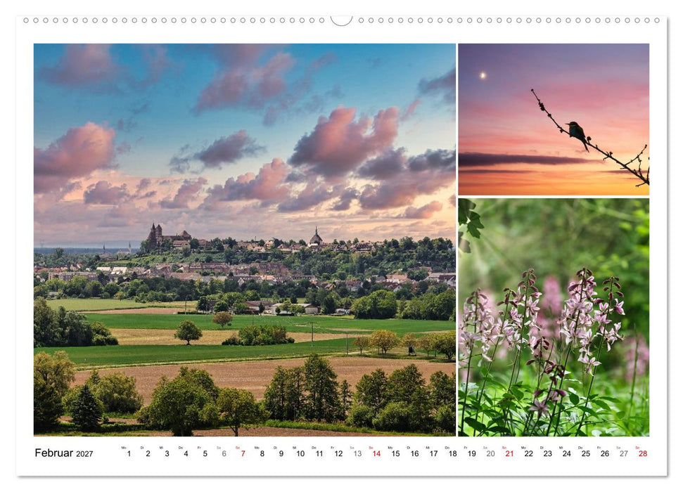 Kaiserstuhl, Schatzkammer der Natur (CALVENDO Premium Wandkalender 2027)