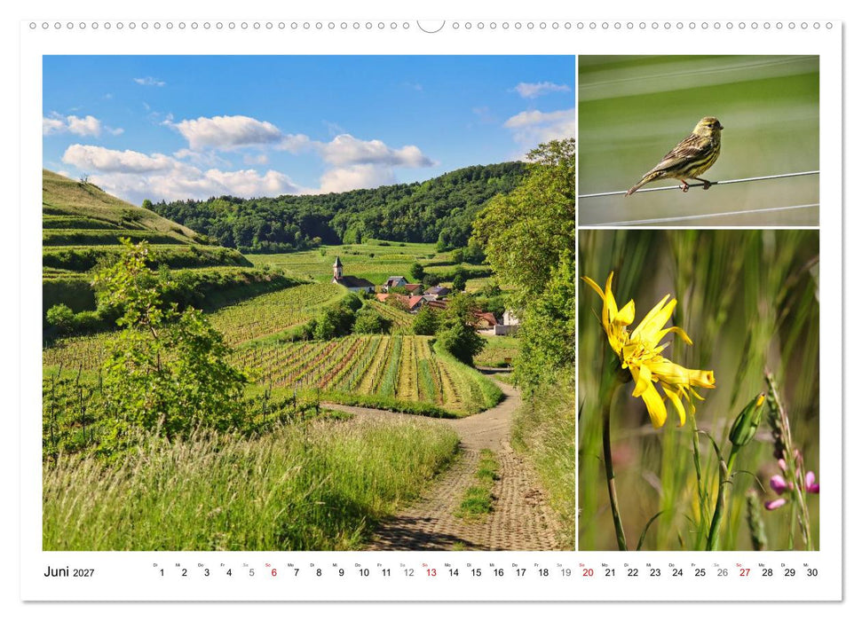 Kaiserstuhl, Schatzkammer der Natur (CALVENDO Premium Wandkalender 2027)
