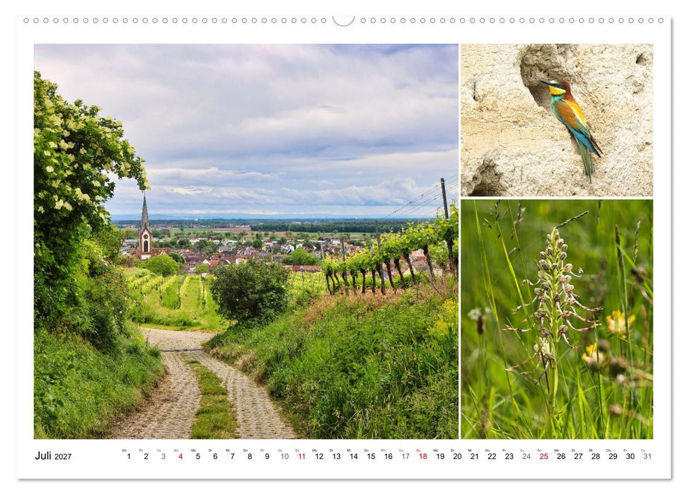 Kaiserstuhl, Schatzkammer der Natur (CALVENDO Premium Wandkalender 2027)