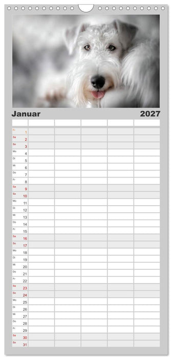 Wo ein Blick genügt und die Welt leiser wird (CALVENDO Familienplaner 2027)