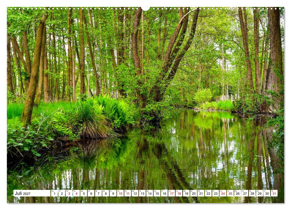Eine Kahnfahrt im Spreewald (CALVENDO Premium Wandkalender 2027)