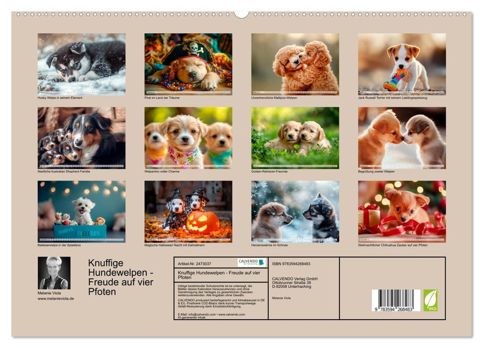 Knuffige Hundewelpen - Freude auf vier Pfoten (CALVENDO Wandkalender 2027)