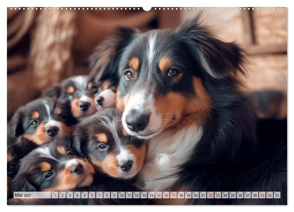 Knuffige Hundewelpen - Freude auf vier Pfoten (CALVENDO Wandkalender 2027)