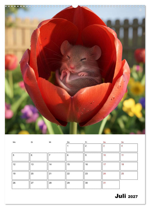 Die kleinen Stars des Gartens (CALVENDO Premium Wandkalender 2027)