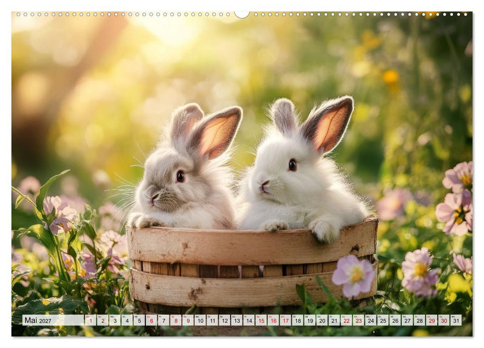 Süße Kaninchen - Flauschige Augenblicke (CALVENDO Premium Wandkalender 2027)