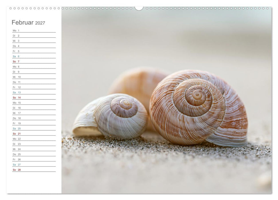 Stille am Horizont (CALVENDO Premium Wandkalender 2027)