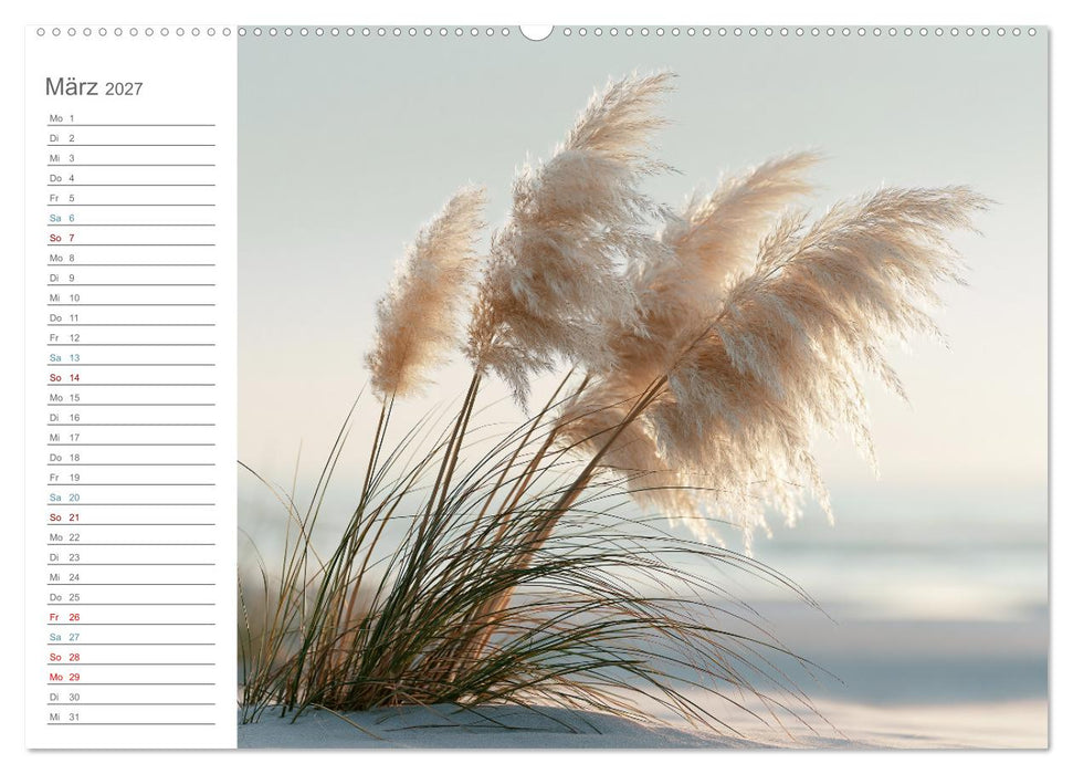 Stille am Horizont (CALVENDO Premium Wandkalender 2027)
