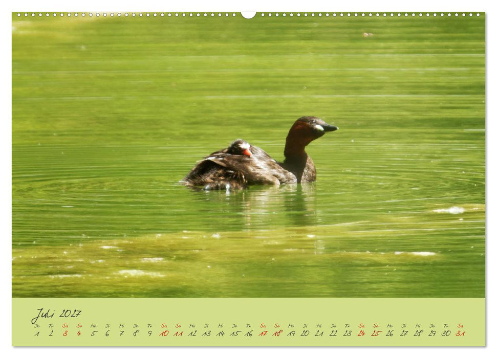 Wilde Toskana - von René Schaack (CALVENDO Premium Wandkalender 2027)