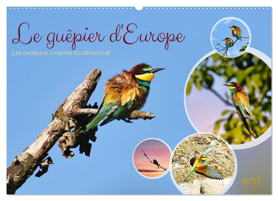 Le guêpier d'Europe (CALVENDO Calendrier mensuel 2027)