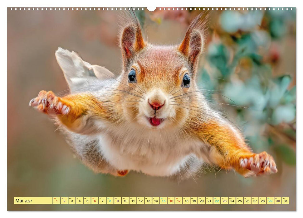 Eichhörnchenliebe - Flinke Sprünge und drolliges Aussehen (CALVENDO Premium Wandkalender 2027)