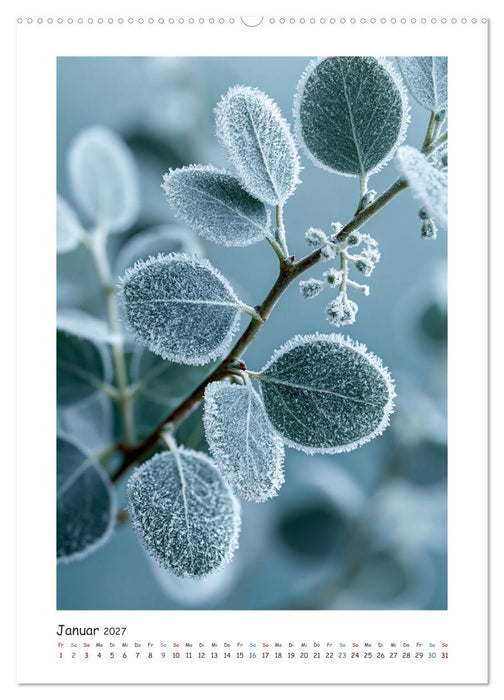 Botanische Träume (CALVENDO Wandkalender 2027)