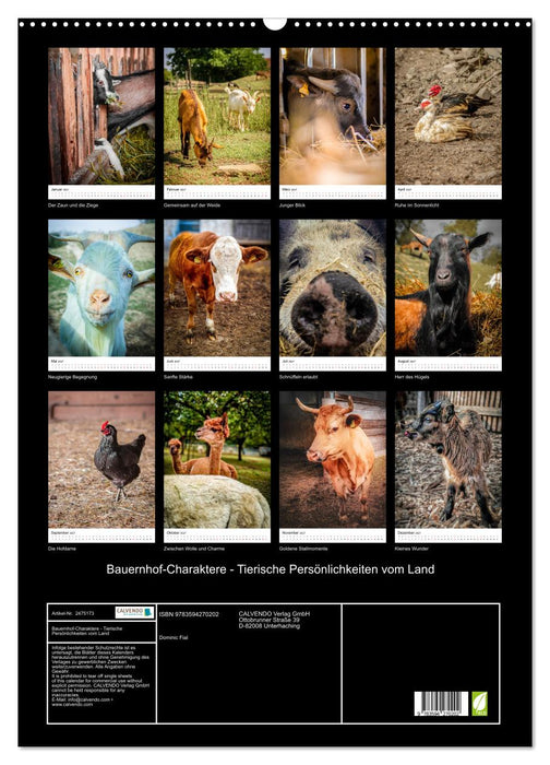 Bauernhof-Charaktere - Tierische Persönlichkeiten vom Land (CALVENDO Wandkalender 2027)